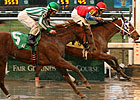 Stakes Winner Anything But Quiet Retired Stakes Winner Anything But Quiet Retired