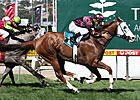 Apache Cat Impressive in Australia Apache Cat Impressive in Australia