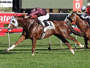 Apache Cat Pounces in the T.J. Smith Apache Cat Pounces in the T.J. Smith