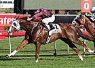 Apache Cat Pounces in the T.J. Smith Apache Cat Pounces in the T.J. Smith