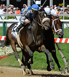 Apart Edges Colizeo in Schaefer Stretch Duel Apart Edges Colizeo in Schaefer Stretch Duel