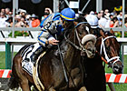 Apart Edges Colizeo in Schaefer Stretch Duel Apart Edges Colizeo in Schaefer Stretch Duel