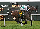 Motion Shipper Appealing Cat in Del Mar Debut Motion Shipper Appealing Cat in Del Mar Debut