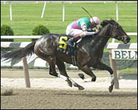 Belmont Racing Report: Apple of Kent Shines in Shuvee Belmont Racing Report: Apple of Kent Shines in Shuvee