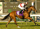 Gomez Guides April Pride to First Graded Win Gomez Guides April Pride to First Graded Win