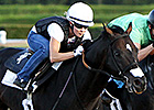 Apriority to Stand at Elite Thoroughbreds Apriority to Stand at Elite Thoroughbreds