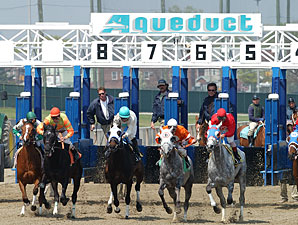 Aqueduct Action Returns Nov. 2 Aqueduct Action Returns Nov. 2