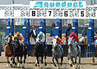 Report: Deficiencies Had Role in Horse Deaths Report: Deficiencies Had Role in Horse Deaths