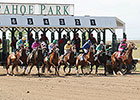 Petition First Step for Slots at Arapahoe Petition First Step for Slots at Arapahoe