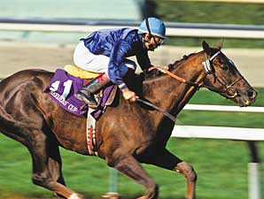 Arcangues, BC Classic Winner, Dead Arcangues, BC Classic Winner, Dead