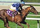 Arcangues, BC Classic Winner, Dead Arcangues, BC Classic Winner, Dead