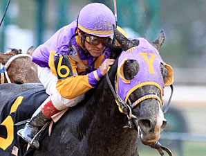 Rebel Likely Next for Top Southwest Finishers Rebel Likely Next for Top Southwest Finishers