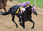 Archarcharch Scores Upset in Southwest Stakes Archarcharch Scores Upset in Southwest Stakes
