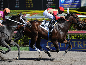 Arch Traveler Wins Key Gulfstream Allowance Arch Traveler Wins Key Gulfstream Allowance