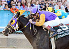 Archarcharch, Nehro Heading for Louisville Archarcharch, Nehro Heading for Louisville