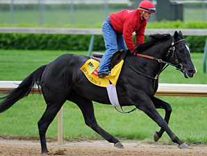 Archarcharch to Stand at Spendthrift in 2012 Archarcharch to Stand at Spendthrift in 2012