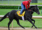 Archarcharch to Stand at Spendthrift in 2012