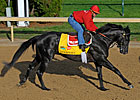 2011 Ky Derby - Predict the Order of Finish