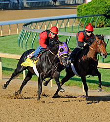 Archarcharch Sizzles Five Panels at Churchill