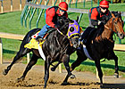 Archarcharch Sizzles Five Panels at Churchill