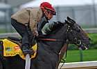 Haskin's Derby Report: Arch Gallops...Or Works