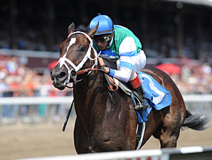 Archwarrior Tops Pletcher Trio in Champagne Archwarrior Tops Pletcher Trio in Champagne