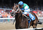 Archwarrior Tops Pletcher Trio in Champagne