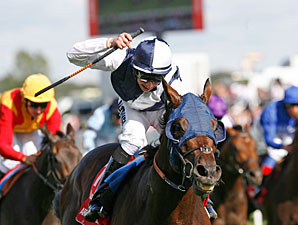 Arctic Cosmos Shines in St. Leger Arctic Cosmos Shines in St. Leger