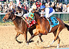 Afleeting Lady Tops Molly Pitcher Lineup Afleeting Lady Tops Molly Pitcher Lineup
