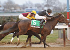 Grade II Winner Arena Elvira Retired Grade II Winner Arena Elvira Retired