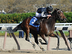 Arena Elvira Gets Grade in Turnback the Alarm Arena Elvira Gets Grade in Turnback the Alarm