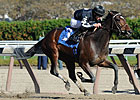 Arena Elvira Gets Grade in Turnback the Alarm