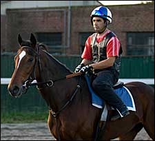 Breeders' Cup Focus: Argentina Breeders' Cup Focus: Argentina
