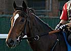 Breeders' Cup Focus: Argentina
