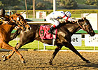 Ariege Reaches New Heights in SA Oaks Ariege Reaches New Heights in SA Oaks
