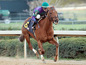 Arienza, Daughter of Azeri, Retired Arienza, Daughter of Azeri, Retired