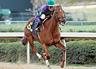 Arienza, Daughter of Azeri, Retired