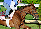 Arienza Works Bullet, Questionable for Oaks