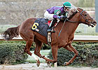 Daughter of Azeri Captures Debut at Oaklawn Daughter of Azeri Captures Debut at Oaklawn