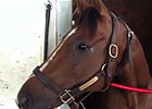 Arlington Million: Rahystrada & Byron Hughes Arlington Million: Rahystrada & Byron Hughes