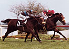 You Make the Call: Arlington Million Winners You Make the Call: Arlington Million Winners