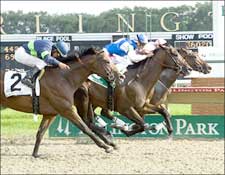 In Summation Settles for Draw in Arlington Sprint In Summation Settles for Draw in Arlington Sprint