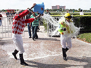 Apprentice Fontanez Pilots First Winner Apprentice Fontanez Pilots First Winner