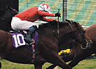 Rock of Gibraltar: Hey Now, He's a Rock Star! Rock of Gibraltar: Hey Now, He's a Rock Star!