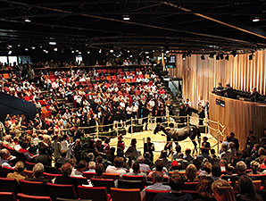 New Arqana Yearling Sale Set for Aug. 20 New Arqana Yearling Sale Set for Aug. 20