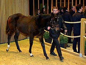 Redoute's Choice Weanling Tops Arqana Session