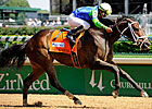 Arson Squad Defeats Solid Alysheba Field Arson Squad Defeats Solid Alysheba Field