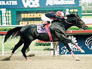 Champion Sprinter Artax Dies Champion Sprinter Artax Dies