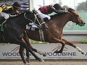 Artie Hot Burns Favorite in Seagram Cup Artie Hot Burns Favorite in Seagram Cup