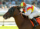 Artiste Royal Shortens Up in Kilroe